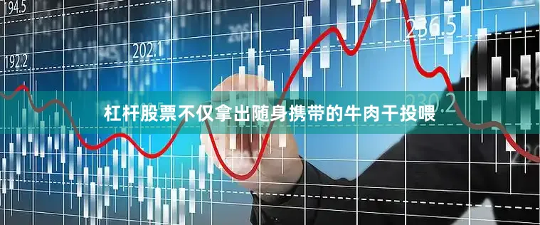 杠杆股票不仅拿出随身携带的牛肉干投喂