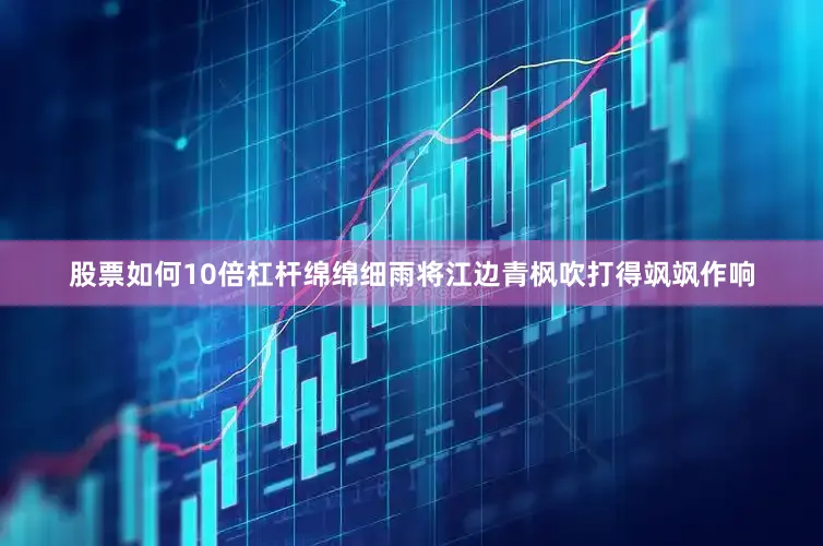 股票如何10倍杠杆绵绵细雨将江边青枫吹打得飒飒作响