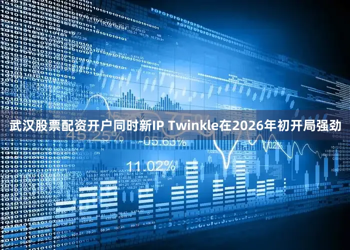 武汉股票配资开户同时新IP Twinkle在2026年初开局强劲